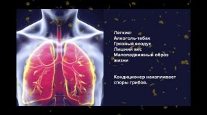 36 Смыслов о Здоровье. Энергия. Жизнь. Суть и Теория. Вторая ступень Знаний от Уаджета.