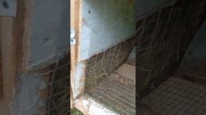 С чего начать кролиководство, клетки для кроликов, уличное содержание, своими руками.