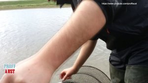 Поставил вершу и ожидал рыбацкого счастья. А тут такое, прямо не ожидал!