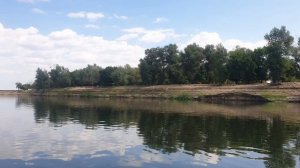 Цаган аман  2022г