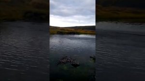 Вечерний хариус на воблер