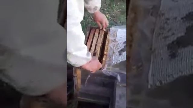 март месяц 2020.наши умные кормушки
