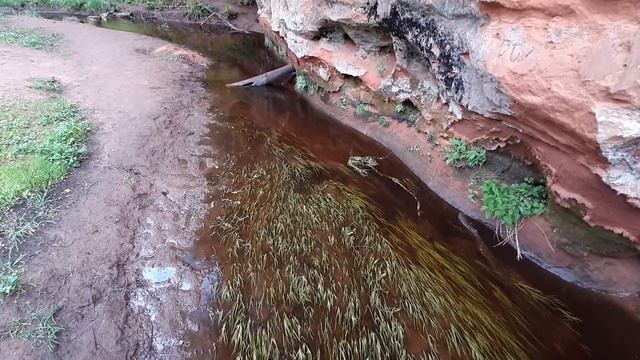 Прогулки в выходной Борницкий карьер,прогулки,отдых,р. Оредеж,велосипед,усадьба Рождествено,Лен.обл. смотреть онлайн