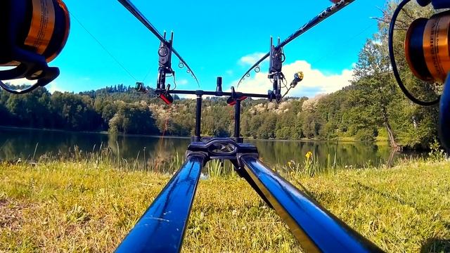 live carp full run! anaconda tiki taka ims смотреть онлайн