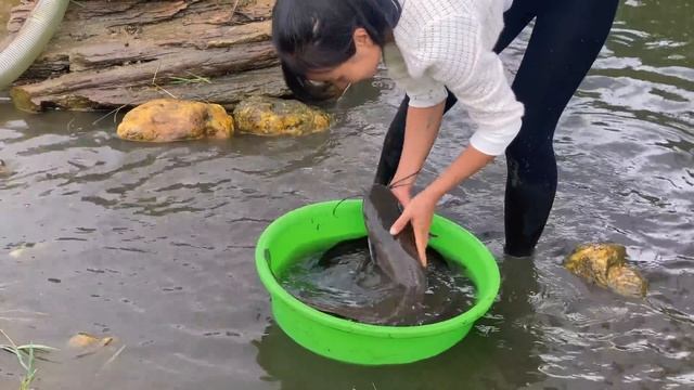 fishing videos life fishing planet fishing draining water catch big fish go to market смотреть онлайн