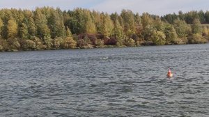 FSR-O-15/27 Кубок Пензенской области по судомодельному спорту 2024