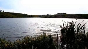 ЛОВИМ КАРАСЯ НА ДОНКУ С РЕЗИНОВЫМ АМОРТИЗАТОРОМ.