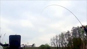 Shimano SpeedMaster AX Commercial Multi Feeder 9-11ft ≤70g - Curve test