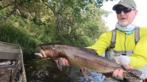 Ozernaya River Fly Fishing - The Best of Kamchatka