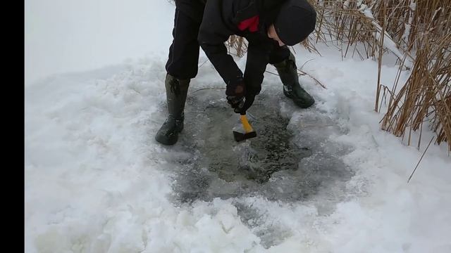 Подготовка к поплавочной ловли весной