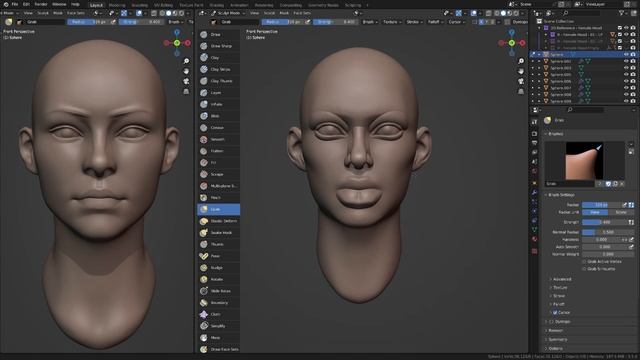 Chapter_03_Sculpting_a_Female_Head