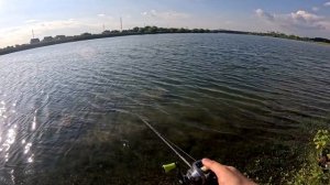 Shimano poison adrena 166ml 2024 - тестируем новинку