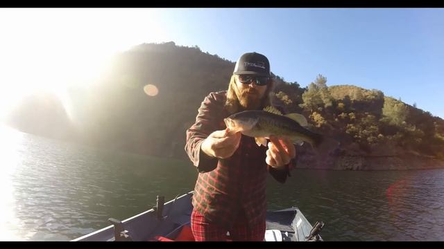EastBayAnglers Lake Pardee Keitech Bass Fishing смотреть онлайн