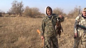 Охота на фазана. Охотничье хозяйство Фортуна. Алматы. Архив. Pheasant hunting.
