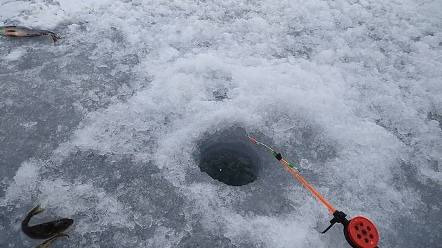 КЛЁВА было до обеда ... смотреть онлайн