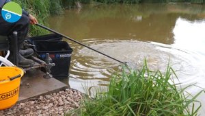 THE SESSION | Paste Fishing Masterclass With Andy Findlay | Preston Innovations