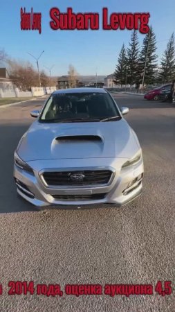 Subaru levorg полное видео скоро на канале #litvin #обзор #рекомендации #subaru #levorg #тренд