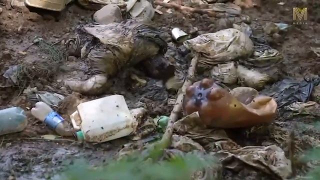 Медведи, опарыши,свалка у жилых домов в Елизово, Камчатка.Экосистема. Заповедный край.Первый зелены