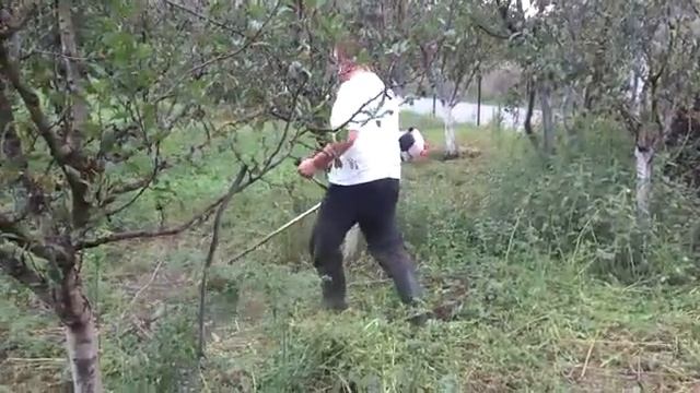 Stihl fs 55 смотреть онлайн