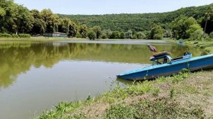 Пруд с катамараном и пение птиц