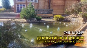 Как подготовить декоративный водоем к зиме?