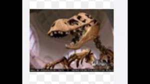 Que es el pervatasaurus