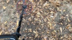 Teknetics T2- Nel Superfly vs Detech Ultimate 13 in the garden