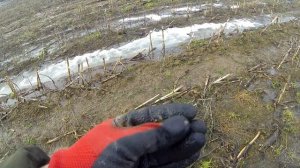 Встречаем весну! Коп с Nokta Legend.