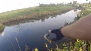 Микроджиг на МИКРОРЕЧКЕ! Быстрая рыбалка на спиннинг! Ловля голавля и окуня на Микроречке!