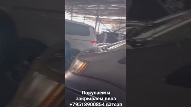 Закрываю ввоз подписчика, огромное спасибо Саналу из Города Элиста