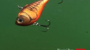 Rapala® Rippin’ Rap®