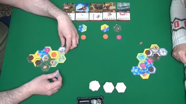 413 Каскадия - играем в настольную игру. Cascadia board game. смотреть онлайн