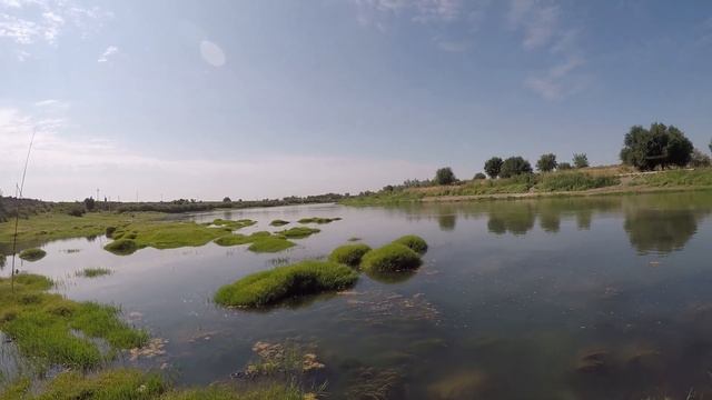 Балик, ови.рыбалка.Сирдарё 07-08.07.2024