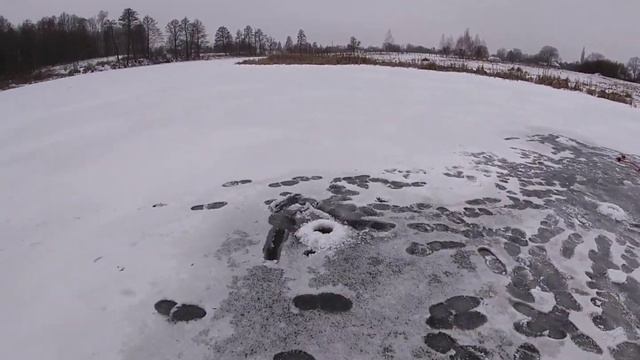 Зимова риболовля на ставках Полісся 2023/Зимова риболовля на мормишку з льоду/Ловля окуня