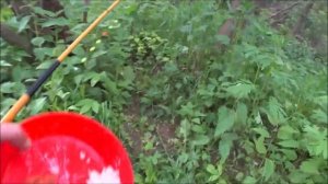 С бобышками на ручье. 13 рыбалка сезона.