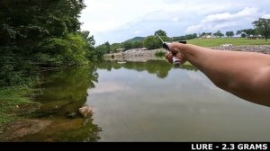 Abu Garcia ZENON LTX Bait Finesse Casting test vs REVO...