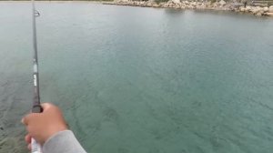 Δοκιμή καλαμιού Gamakatsu Akilas 90XH