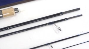 Tenryu 2023 Rayz integral Trout