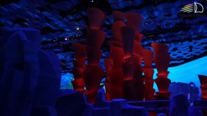 SeaWorld Abu Dhabi. Морской Мир Абу Даби. Все об уникальном тематическом парке | Туристино Дубай
