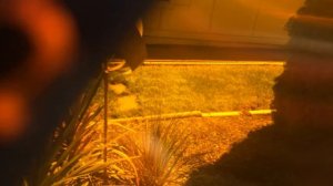 Product Review: Blue Light Blocking Glasses