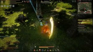Black Desert. Прокачка.(с 1 по 50 левел)