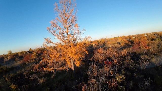 FPV Freestyle Яровое
