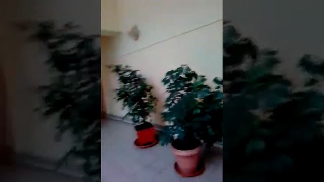 Решма. Моя экскурсия для вас!!!💋💋💋