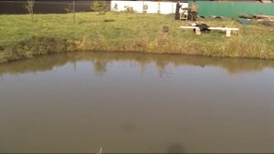 ОВЕЦ ЕЩЕ ПОКА НЕТ, А ПАСТБИЩЕ УЖЕ РАСШИРЯЮ!!! БРОЙЛЕРЫ - ТЕМА!!!