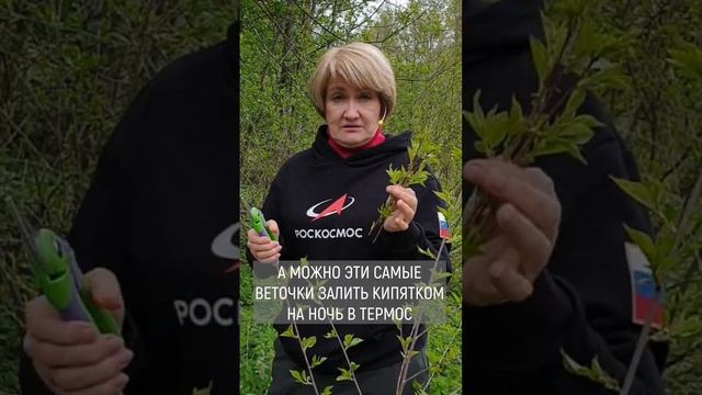 ► БЕГАЕМ В ТУАЛЕТ? смотреть онлайн