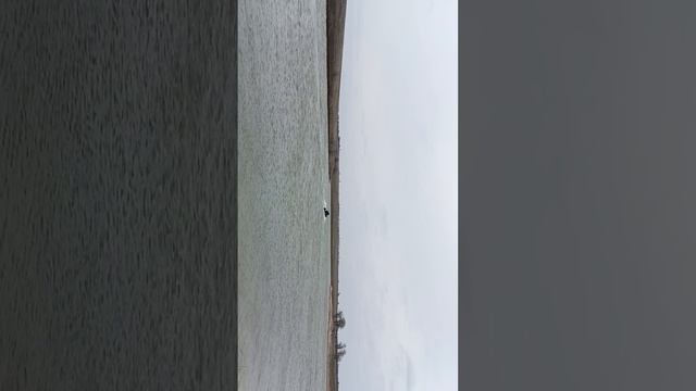 лодка из пнд, Берш-400 консольная- боурайдер, плм шармакс 9,9лс смотреть онлайн