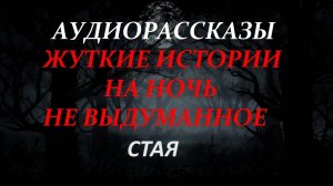 СТРАШНЫЕ РАССКАЗЫ НА НОЧЬ-СТАЯ