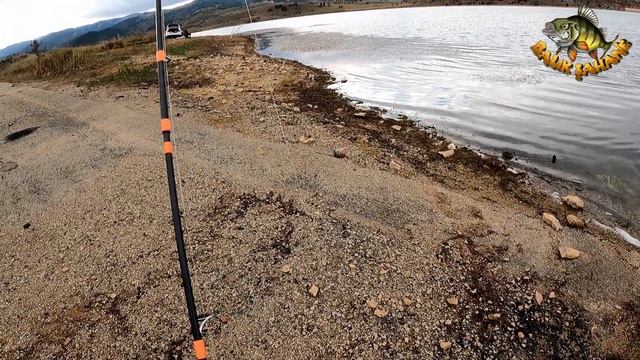 PERCH BALIK AVI. смотреть онлайн