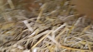 у нас хорошие новости