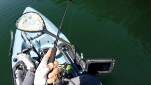 Daiwa Exist LT & Steez AGS 76MML Review - Is It Worth $1400???